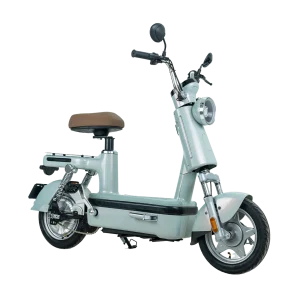 Xe Đạp Điện - ESPERO BeJoy